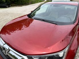 2019 HONDA CR-V SUV 4-CYL, TURBO, 1.5 LITER EX-L SPORT UTILITY 4D at T&T Repairables - used car dealership in Spencer, Indiana.