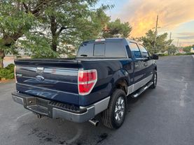 2013 FORD F150 SUPERCREW CAB