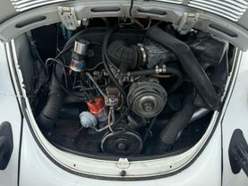 1979 VOLKSWAGEN VOLKSWAGEN CONVERTIBLE CONVERTIBLE - SUPER