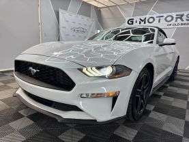 2020 FORD MUSTANG