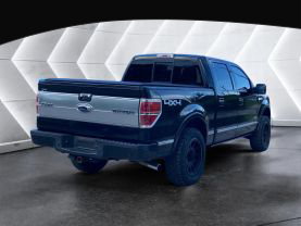2013 FORD F150 SUPERCREW CAB