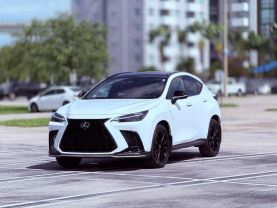 2022 LEXUS NX