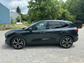 2022 FORD ESCAPE SUV 3-CYL, ECOBOOST, TURBO, 1.5 LITER SE SPORT UTILITY 4D at T&T Repairables - used car dealership in Spencer, Indiana.
