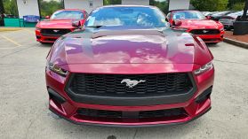 2025 Ford Mustang - Image 2