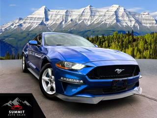 Image of 2019 FORD MUSTANG