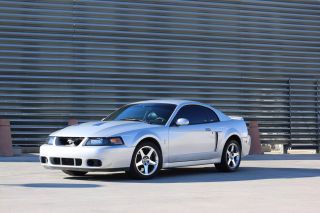 Image of 2003 FORD MUSTANG