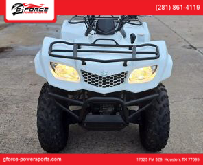 Image of 2019 SUZUKI KINGQUAD 400ASI