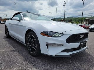 2023 FORD MUSTANG BASE