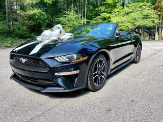 Image of 2019 FORD MUSTANG ECOBOOST CONVERTIBLE 2D