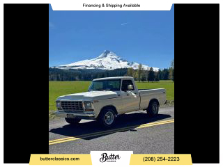 Image of 1979 FORD F-150