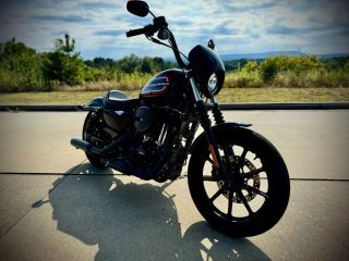 Image of 2020 HARLEY DAVIDSON XL1200 IRON