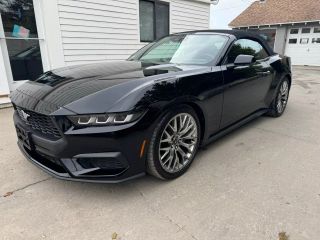Image of 2024 FORD MUSTANG