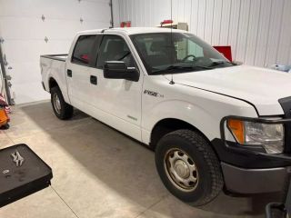 2013 FORD F150 XL