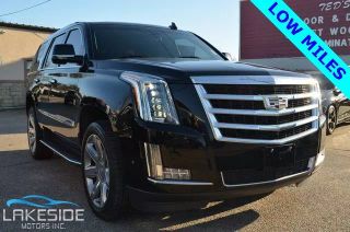 Image of 2017 CADILLAC ESCALADE