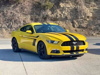 Image of 2017 FORD MUSTANG