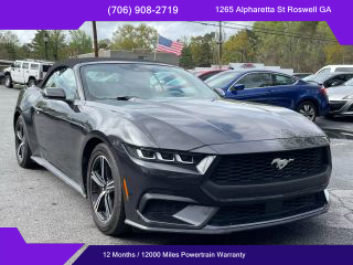 Image of 2024 FORD MUSTANG