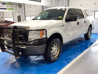 2013 FORD F150 XL