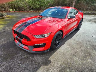 2017 FORD MUSTANG SHELBY GT350