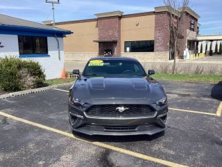 Image of 2019 FORD MUSTANG