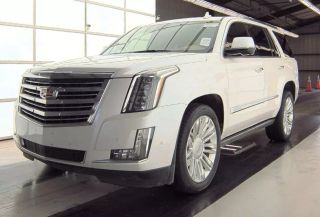 Image of 2020 CADILLAC ESCALADE PLATINUM SPORT UTILITY 4D