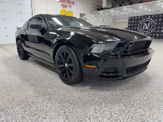 Image of 2014 FORD MUSTANG