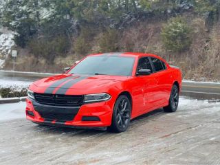 Image of 2022 DODGE CHARGER