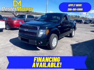 2009 FORD F150 STX