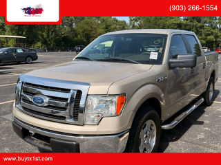 Image of 2010 FORD F150 SUPERCREW CAB
