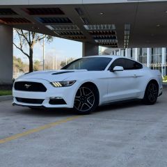 Image of 2017 FORD MUSTANG