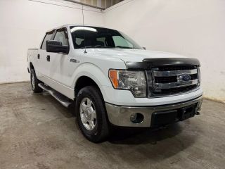 2014 FORD F150 XLT