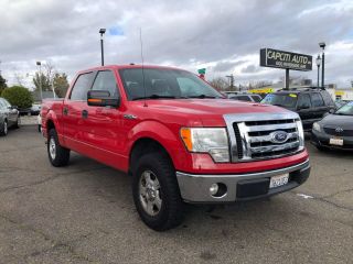2010 FORD F150 XLT