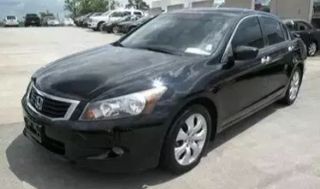 Image of 2008 HONDA ACCORD