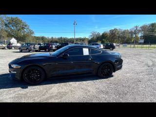 2019 FORD MUSTANG BASE