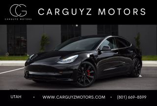 2019 TESLA MODEL 3 PERFORMANCE