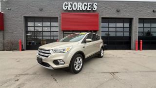 Image of 2017 FORD ESCAPE