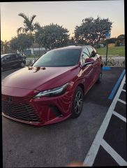 Image of 2024 LEXUS RX