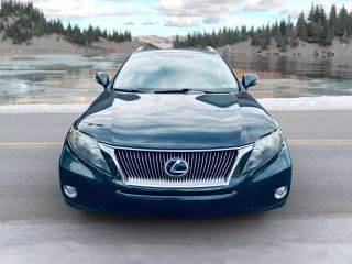 Image of 2010 LEXUS RX