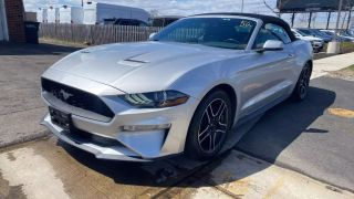 Image of 2019 FORD MUSTANG