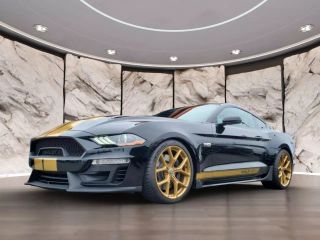 Image of 2019 FORD MUSTANG