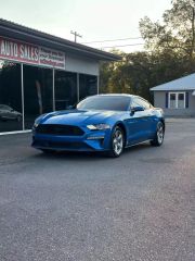 Image of 2019 FORD MUSTANG
