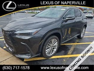 2024 LEXUS NX 350 LUXURY