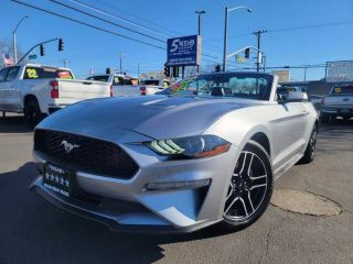 Image of 2022 FORD MUSTANG