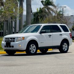 Image of 2010 FORD ESCAPE