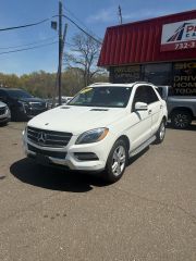 Image of 2014 MERCEDES-BENZ M-CLASS