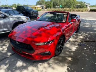 Image of 2024 FORD MUSTANG