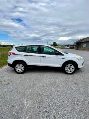 Image of 2014 FORD ESCAPE