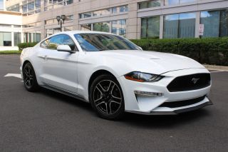 Image of 2022 FORD MUSTANG