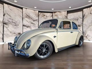 Image of 1964 VOLKSWAGEN BEETLE