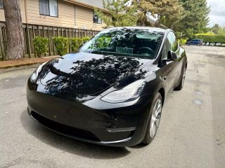 Image of 2021 TESLA MODEL Y