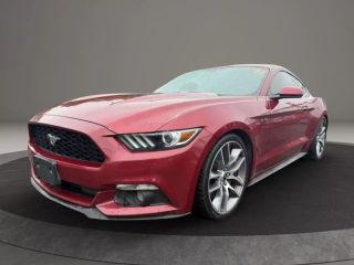 Image of 2017 FORD MUSTANG